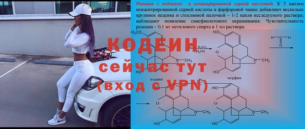 сатива Баксан