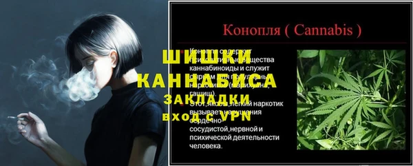 сатива Баксан