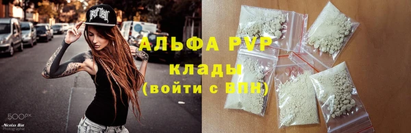сатива Баксан