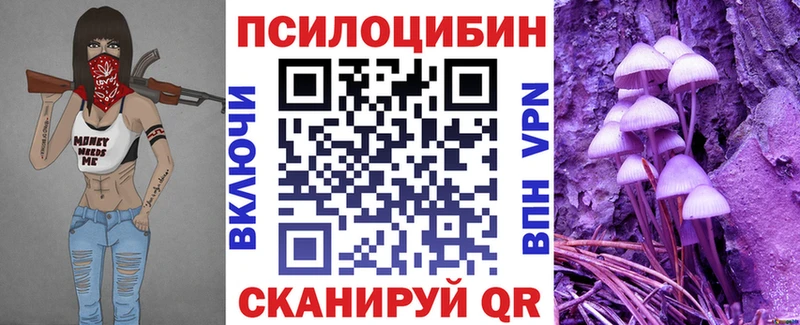 наркошоп  Курганинск  Псилоцибиновые грибы Psilocybe 