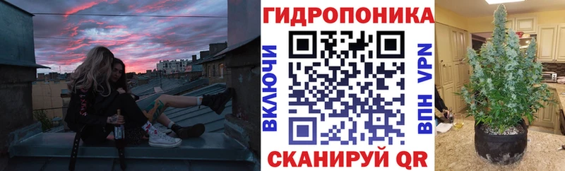 Шишки марихуана ГИДРОПОН  Курганинск 